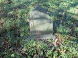 image of grave number 679599